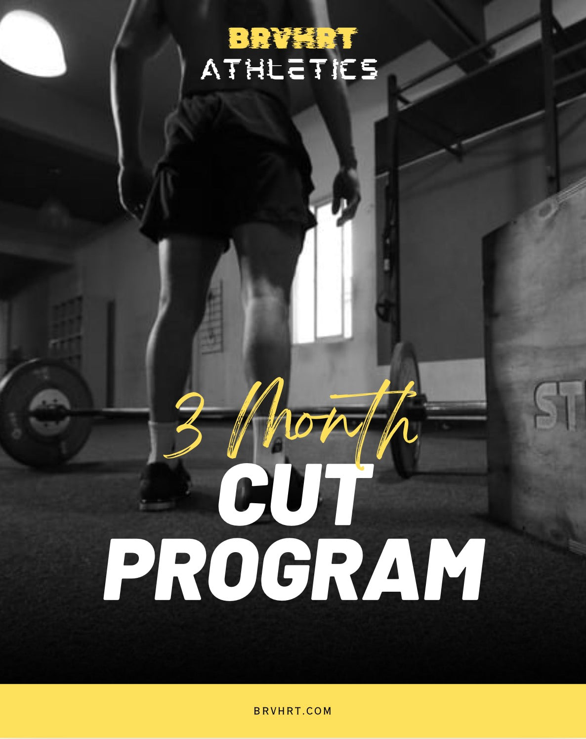 12 Week Cut Program